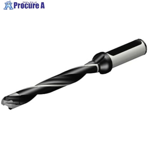 SANDVIK コロドリル870 ヘッド交換式ドリル(446) 870-1300-12LX063-8 (446) 1本 ■▼314-5164 【送料都度見積】 ●KO521｜プロキュアエース