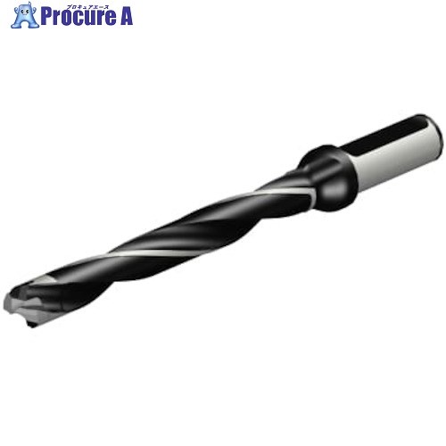 SANDVIK コロドリル870 尖端取り替えっこ式せん孔機(446) 870-1700-17LX075-8 (446) 1本 ■▼314-6718 【貨物輸送都度積もり書き】 ●KO521