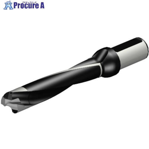 SANDVIK コロドリル870 ヘッド交換式ドリル(446) 870-3000-30LX125-5 (446) 1本 ■▼314-6767 【送料都度見積】 ●KO521｜プロキュアエース 63,838円