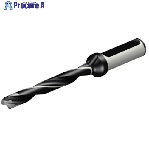 SANDVIK コロドリル870 ヘッド交換式ドリル(446) 870-1100-8LX063-8 (446) 1本 ■▼314-6789 【送料都度見積】 ●KO521