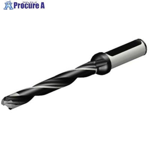 SANDVIK コロドリル870 ヘッド交換式ドリル(446) 870-1250-11LX063-8 (446) 1本 ■▼314-8348 【送料都度見積】 ●KO521｜プロキュアエース 38,685円