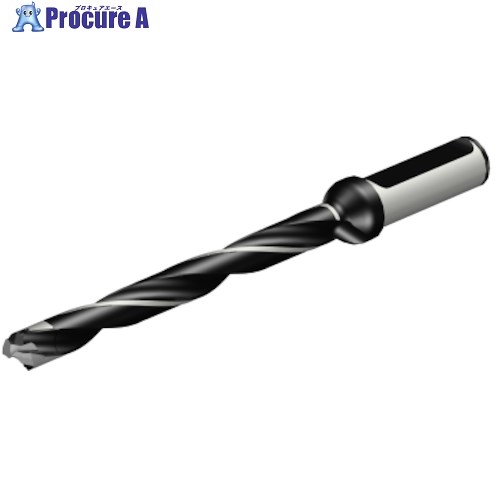 SANDVIK コロドリル870 尖端取り替えっこ式せん孔機(446) 870-1200-10LX063-10 (446) 1本 ■▼314-8357 【貨物輸送都度積もり書き】 ●KO521