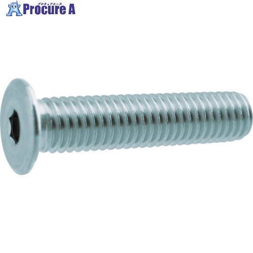 寸切（荒先（ＸＡSUSズンギリアラサキ(XA M10X70 ステンレス(303、304、XM7等)/生地(または標準) 寸切りボルト m10\" 表面処理:3価ブラック 通販モノタロウ