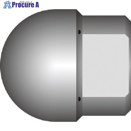 Asada 3/8逆噴射ノズルM型 13L/分エンジン式・16/200G用 HD06063 1個 ■▼135-8491 【送料都度見積】 8,600円