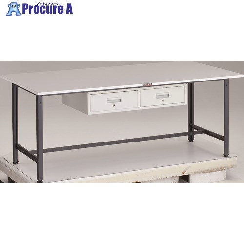 TRUSCO 軽荷重作業台(300kg)AE型 1800X900XH740 2列引出し付 ダークグレー色 RAE-1809FL2 DG 1台 ■▼183-3896