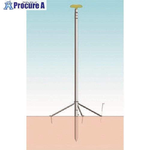つくし スカイポール 6mタイプ(全高 5670mm) SP-60 1組 ■▼185-2774 【代引決済不可】【送料都度見積】 ※車上渡し