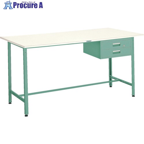 TRUSCO 軽掛け目立御役目台(300kg)HAE型 900X600XH900 2段引出付 緑であること色 HAE-0960F2 (ﾆｭｰﾎﾟﾘﾊｸｼｮｸﾃﾝﾊﾞﾝ) 1台 ■▼278-4840 作業台-はしご・作業台-花・ガーデン・DIY