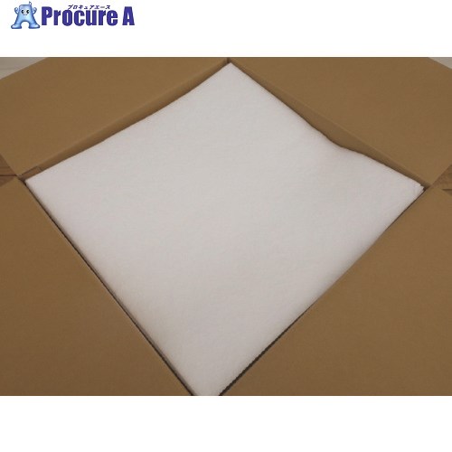 東レ・ファイン 東レウォセップ Cタイプ カット 0.25cmx50cmx50cm 200枚(12.5kg) C-CUT 1箱 ■▼201-0555 27,737円