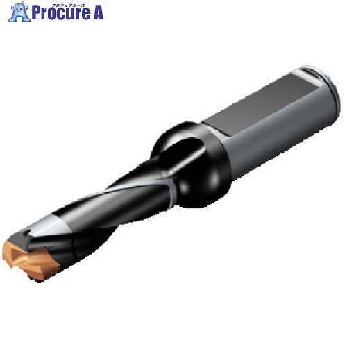 SANDVIK コロドリル870 上端取り替えっこ式せん孔機(446) 870-1900-19L25-3 (446) 1本 ■▼565-6265 【貨物輸送都度積もり書き】 ●KO521