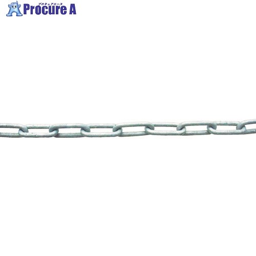 ニッサチェイン 鉄ドブメッキ溶接リンクチェイン 3mm×30m IW30-DOBU 1本 ▼829-0597
