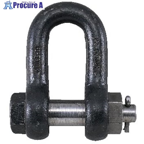 コンドーテック KONDO標準尺度シャックル SBシャックル 40 出どころ 022SBA040 1個 ■▼543-1628 【貨物輸送都度積もり書き】