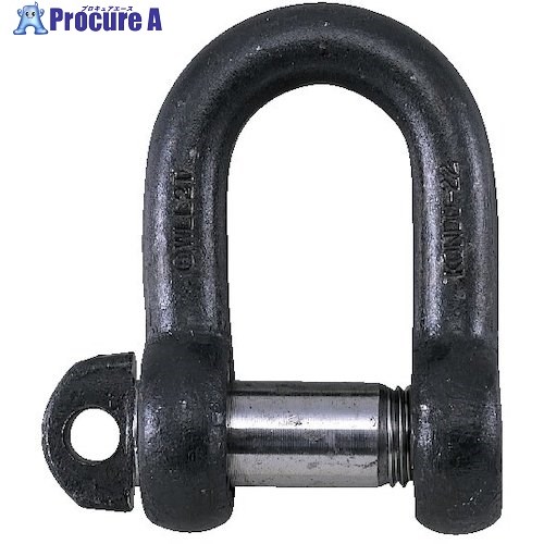 コンドーテック KONDO規格シャックル SDシャックル 38 (6.3t) 生地 022SDA038 1個 ■▼543-2078 【送料都度見積】|プロキュアエース