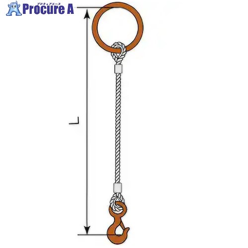 コンドーテック JISロック止ワイヤ 12mm 丸リング 環付きフック 1.0t 塗装 φ12×8M T01S・T16 05221RTFT128 1組 ■▼612-4891 【送料都度見積】