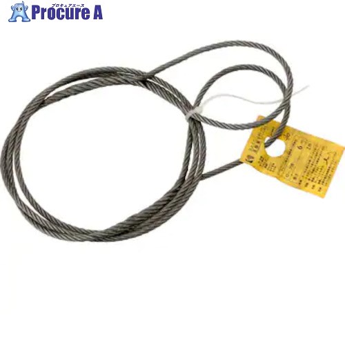 コンドーテック JISロック止玉掛ワイヤ(6×24)O/O φ16×8M 袋入り 052B54OF168 1本 ■▼612-5195 【送料都度見積】
