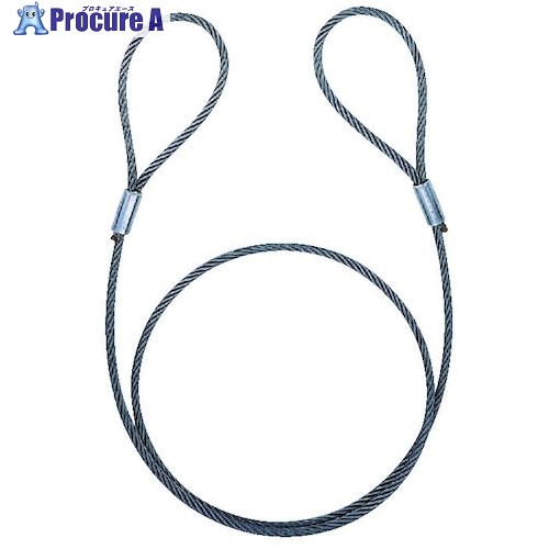 コンドーテック アウトロック止ワイヤ 6×24 メッキG/O 16mm×2.5m 052024G162S5 1本 ■▼612-5430 【送料都度見積】