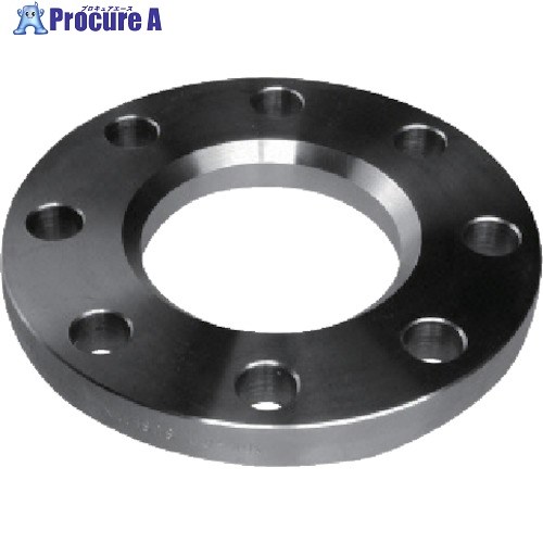 inoc 遊合フランジ 10K125A 304FFC10K125A 1枚 ■▼806-4266 【代引決済不可】【送料都度見積】