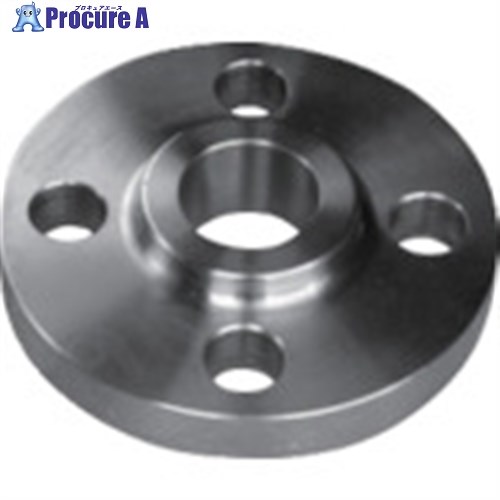 inoc スリップオンフランジ クラス150 250A 304SORF150LB250A 1枚 ■▼806-4685 【代引決済不可】【送料都度見積】