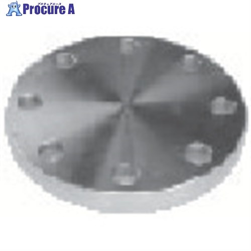 inoc ブラインドフランジ SUS316L BF 10K 250A 316LBF10K250A 1枚 ■▼850-4870 【代引決済不可】【送料都度見積】
