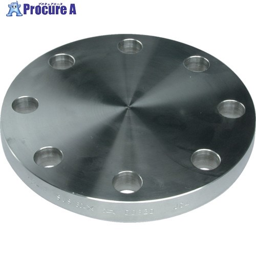 inoc ブラインドフランジ SUS304 BF 10K 300A 304BF10K300A 1枚 ■▼850-5161 【代引決済不可】【送料都度見積】 ※車上渡し