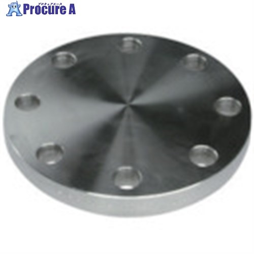 inoc ブラインドフランジ SUS304 BF 10K 450A 304BF10K450A 1枚 ■▼850-5164 【代引決済不可】 ※車上渡し