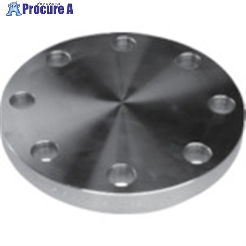 inoc 上水道フランジ WBF 300A 304WBF300A 1枚 ■▼850-5188 【代引決済不可】【送料都度見積】 ※車上渡し