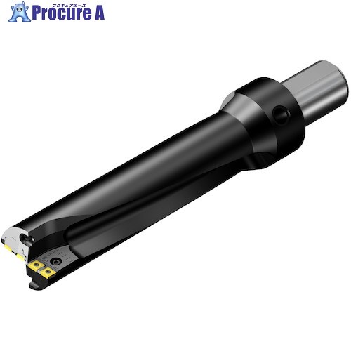SANDVIK 刃先取り替えっこ式せん孔機 百貨店Uせん孔機(465) 880-D0810LX63-03 (465) 1本 ■▼313-7267 【貨物輸送都度積もり書き】 ●KO521 電動・エア工具用アクセサリー-その他