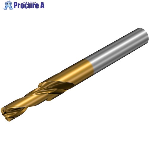SANDVIK コロドリル860‐GM 超硬ソリッドドリル(720) X1BM 860.2-0800-026A1-GM X1BM (720) 1本 ■▼350-4587 【送料都度見積】 ●KO521