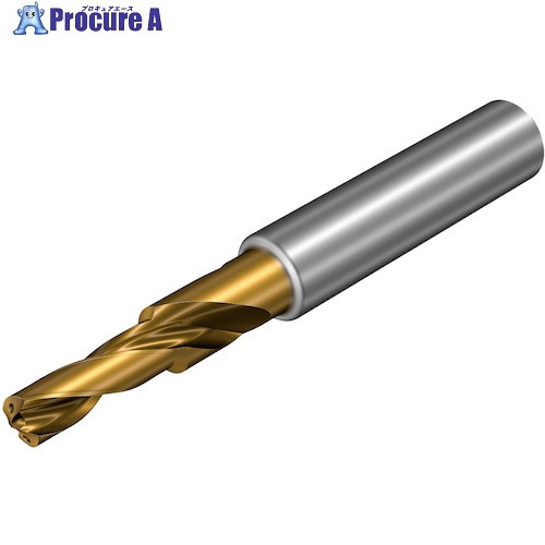 SANDVIK コロドリル860‐GM 超硬ソリッドドリル(720) X1BM 860.2-0690-023A1-GM  X1BM (720) 1本 ■▼350-7948 【貨物輸送都度積もり書き】 ●KO521
