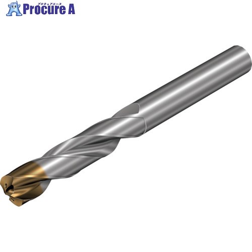 SANDVIK コロドリル860‐GM 超硬ソリッドドリル(720) X1BM 860.1-0530-027A0-GM  X1BM (720) 1本 ■▼352-8356 【貨物輸送都度積もり書き】 ●KO521