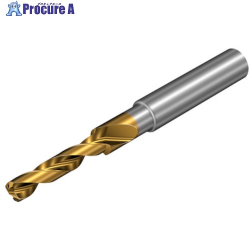 SANDVIK コロドリル860-PM超硬ソリッド段付き/面取りドリル(720) P1BM 860.2-0660-020A1-PM P1BM(720) 1本 ■▼456-7690 【送料都度見積】 ●KO521