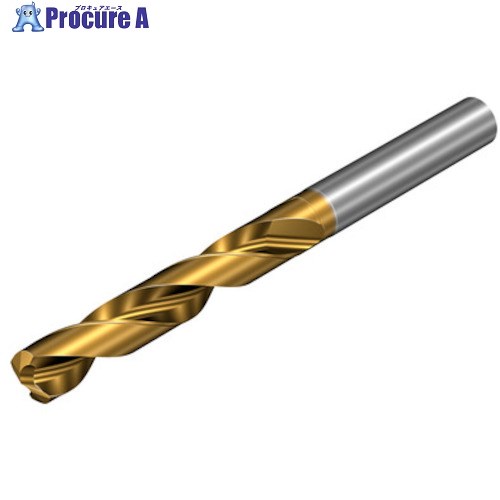 SANDVIK コロドリル860-PM 超硬ソリッドドリル(720) P1BM 860.1-1600-044A0-PM  P1BM(720) 1本 ■▼456-7939 【貨物輸送都度積もり書き】 ●KO521
