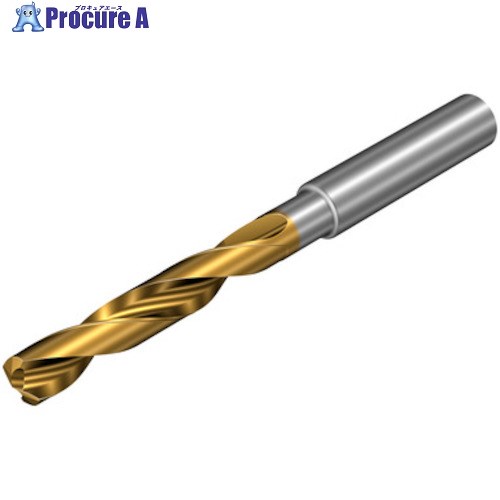 SANDVIK コロドリル860-PM 超硬ソリッドドリル(720) P1BM 860.1-1580-062A0-PM P1BM(720) 1本 ■▼456-8384 【送料都度見積】 ●KO521