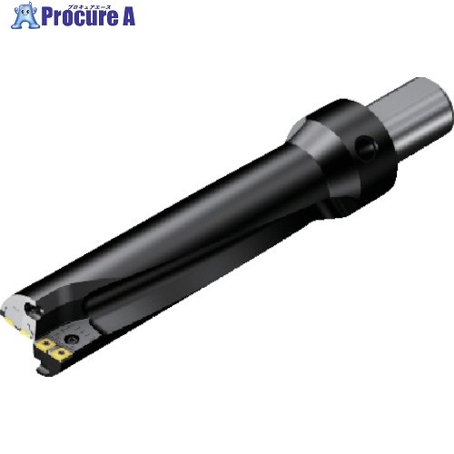 SANDVIK 刃先交換式ドリル スーパーUドリル(465) 880-D0650L50-03 (465) 1本 ■▼820-3175 【送料都度見積】 ●KO521