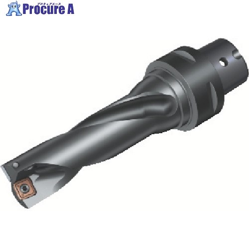 SANDVIK 刃先交換式ドリル スーパーUドリル(465) 880-D4200C5-03M1 (465) 1本 ■▼825-1082 【送料都度見積】 ●KO521