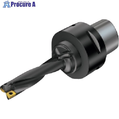 SANDVIK 刃先交換式ドリル スーパーUドリル(465) 880-D1200C4-04 (465) 1本 ■▼857-9580 【送料都度見積】 ●KO521|プロキュアエース
