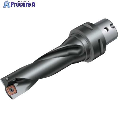 SANDVIK 刃先交換式ドリル スーパーUドリル(465) 880-D4000C6-03 (465) 1本 ■▼857-9659 【送料都度見積】 ●KO521|プロキュアエース
