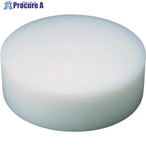 TKG 住友 可塑性物質中華まな板 小 H100粍 AMN31310 1個 ■▼188-6419 【貨物輸送都度積もり書き】