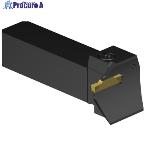 SANDVIK CoroCut2 QSシャンク 端面溝入れ加工用(480) C2A-QS25-LGH15B-132CB 1個 ■▼567-2321 【送料都度見積】 ●KO521|プロキュアエース