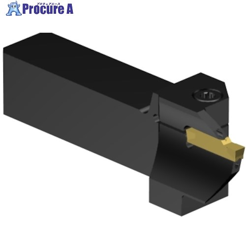 SANDVIK CoroCut2 QSシャンク 端面溝入れ加工用(480) C2A-QS25-LFJ18B-040CB 1個 ■▼567-3882 【送料都度見積】 ●KO521|プロキュアエース
