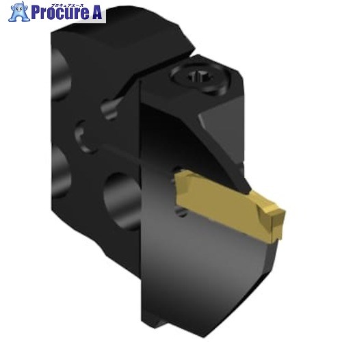 SANDVIK コロカット2 カッティングヘッド 端面溝入れ加工用(420) C2A-SL32-RGG15B-042GB 1個 ■▼633-2550 【送料都度見積】 ●KO521|プロキュアエース