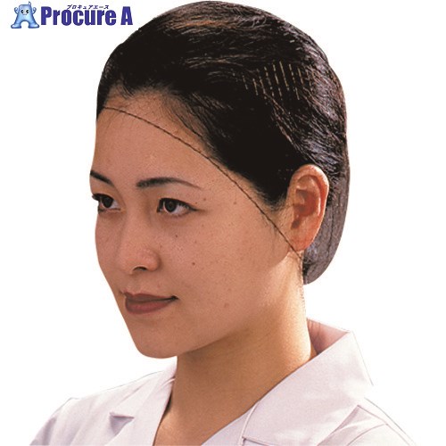 TKG パル ヘアーネット(100枚入) T20664 Lサイズ SNT0103 1個 ■▼193-3218 【代引決済不可】【送料都度見積】