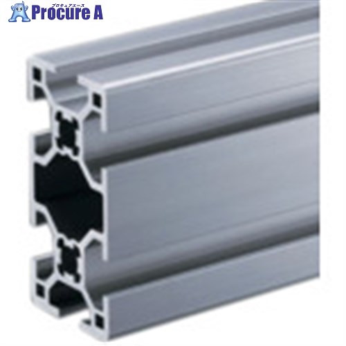 SUS 【量目10～49】空想科学小説2-30・60 L＝600 SFF-334_600-10 10本 ■▼657-7259 【貨物輸送都度積もり書き】