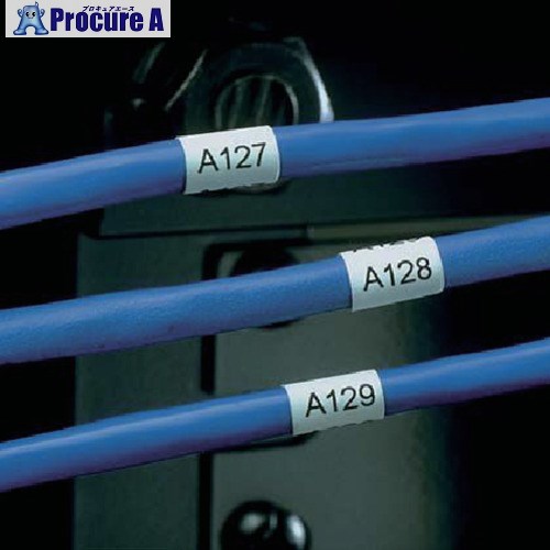 PANDUIT レーザ印刷人用ノンラミネートラベル 白 10000枚 N050X125FJJ N050X125FJJ 1箱 ■▼166-8267 【貨物輸送都度積もり書き】