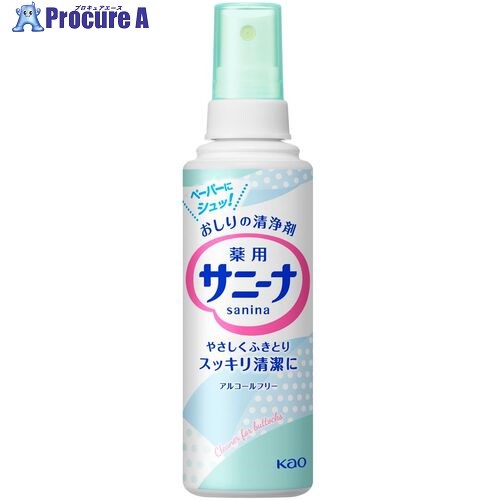Kao サニーナ スプレー 90ml 013736 48個 ■▼530-3425 【送料都度見積】|プロキュアエース