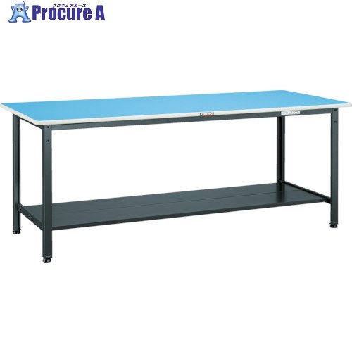 TRUSCO 軽荷重作業台(250kg)BE型 1200X600XH740 下棚2枚付 ダークグレー色 BE-1260LT2 1台 ■▼454-3581