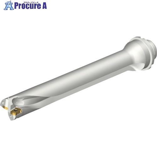 SANDVIK コロドリルDS20刃先交換式ドリル(465) DS20-D3175DM32-07 (465) 1本 ■▼216-0972 【送料都度見積】 ●KO521｜プロキュアエース