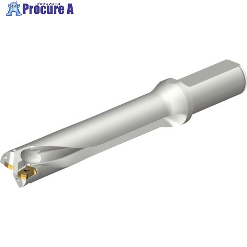 SANDVIK コロドリルDS20刃先交換式ドリル(465) DS20-D2540LX25-05 (465) 1本 ■▼216-2509 【送料都度見積】 ●KO521