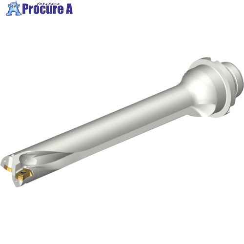 SANDVIK コロドリルDS20刃先交換式ドリル(465) DS20-D2100DM25-07 (465) 1本 ■▼216-2557 【送料都度見積】 ●KO521｜プロキュアエース