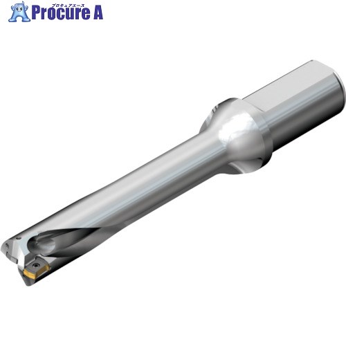 SANDVIK コロドリルDS20刃先交換式ドリル(465) DS20-D2697LX31-05 (465) 1本 ■▼216-4085 【送料都度見積】 ●KO521