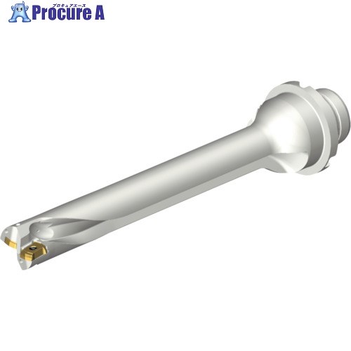SANDVIK コロドリルDS20刃先交換式ドリル(465) DS20-D1905DM25-07 (465) 1本 ■▼216-5652 【送料都度見積】 ●KO521|プロキュアエース